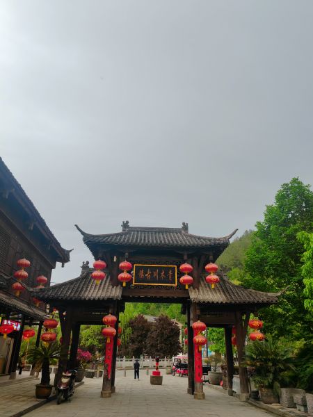 图5