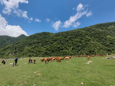 微信图片_20260803102936_33_212 微信图片_20260803102936_33_212
